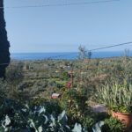 Οικόπεδο 594τ,μ στους Μυλους