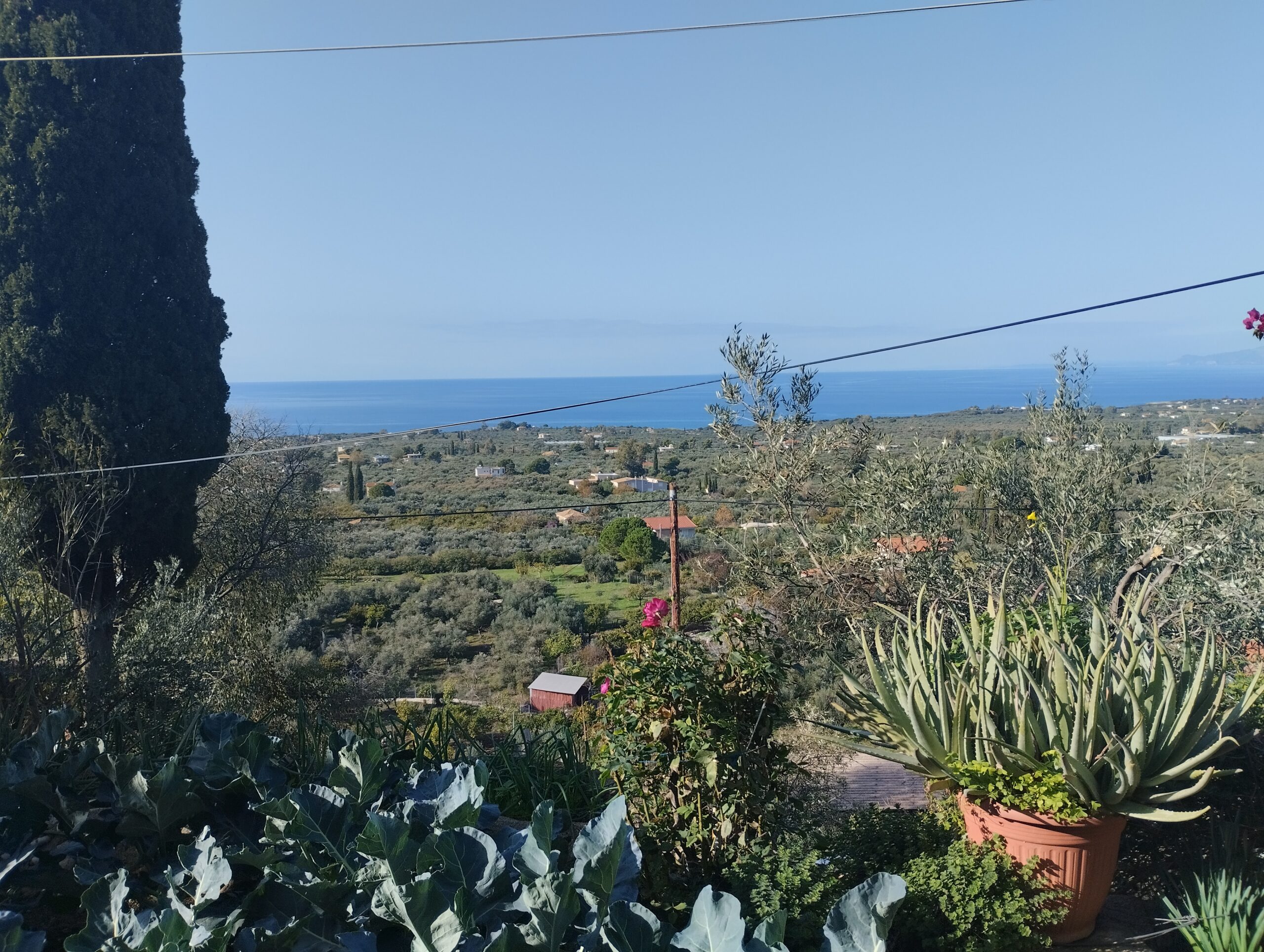 Οικόπεδο 594τ,μ στους Μυλους